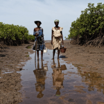 Africa Wetlands Degradation