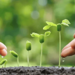 Biostimulant Regulation