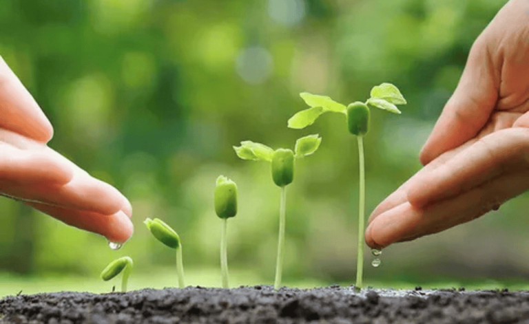 Biostimulant Regulation
