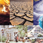 Climate Education Impact