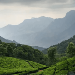 Western Ghats Eco-Sensitive Zones