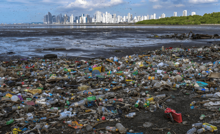 Global Plastic Ban