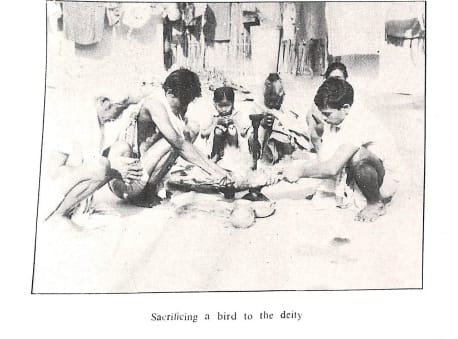 The Bodo-Kachari Tribe of Assam: Culture, Identity, and Evolution Ankush Panghal The Bodo-Kachari Tribe