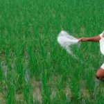 Direct Benefit Transfer (DBT)