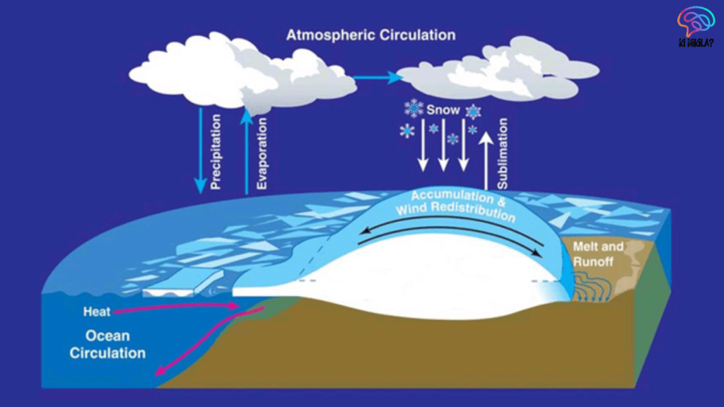 Albedo's Impact on Climate Science