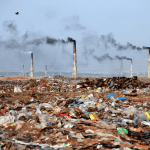 Contaminated Sites Rules