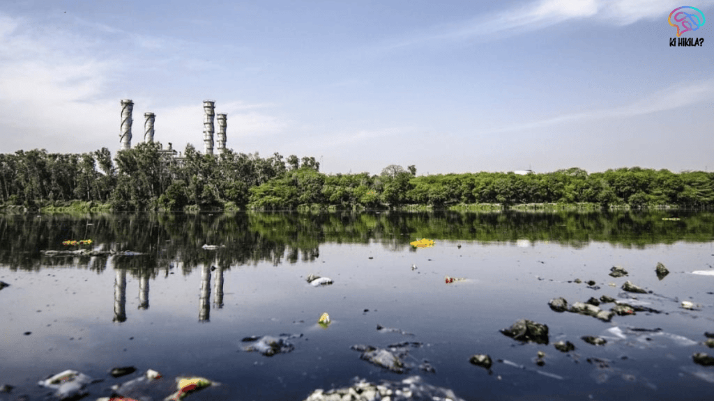 Contaminated Sites Rules