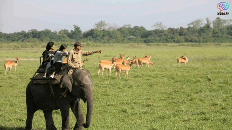 National Parks in Assam 2025