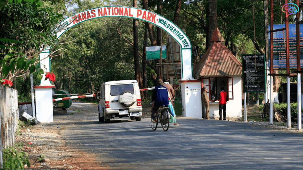 National Parks in Assam 2025: Exploring Eight Ecological Wonders National Parks in Assam 2025