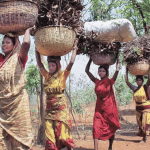 Muthuvan Tribe