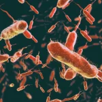 Engineered Bacteria Power Biosensors
