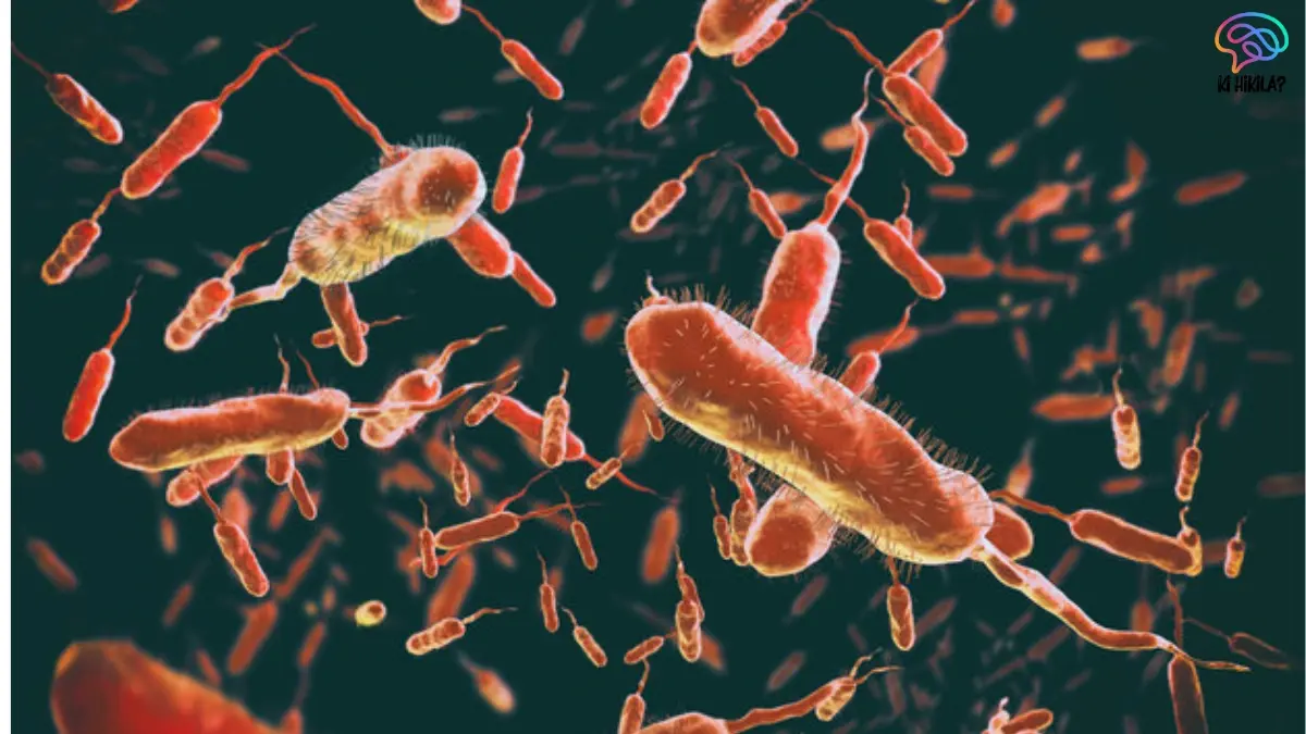 Engineered Bacteria Power Biosensors