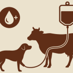 Veterinary Blood Transfusion Guidelines