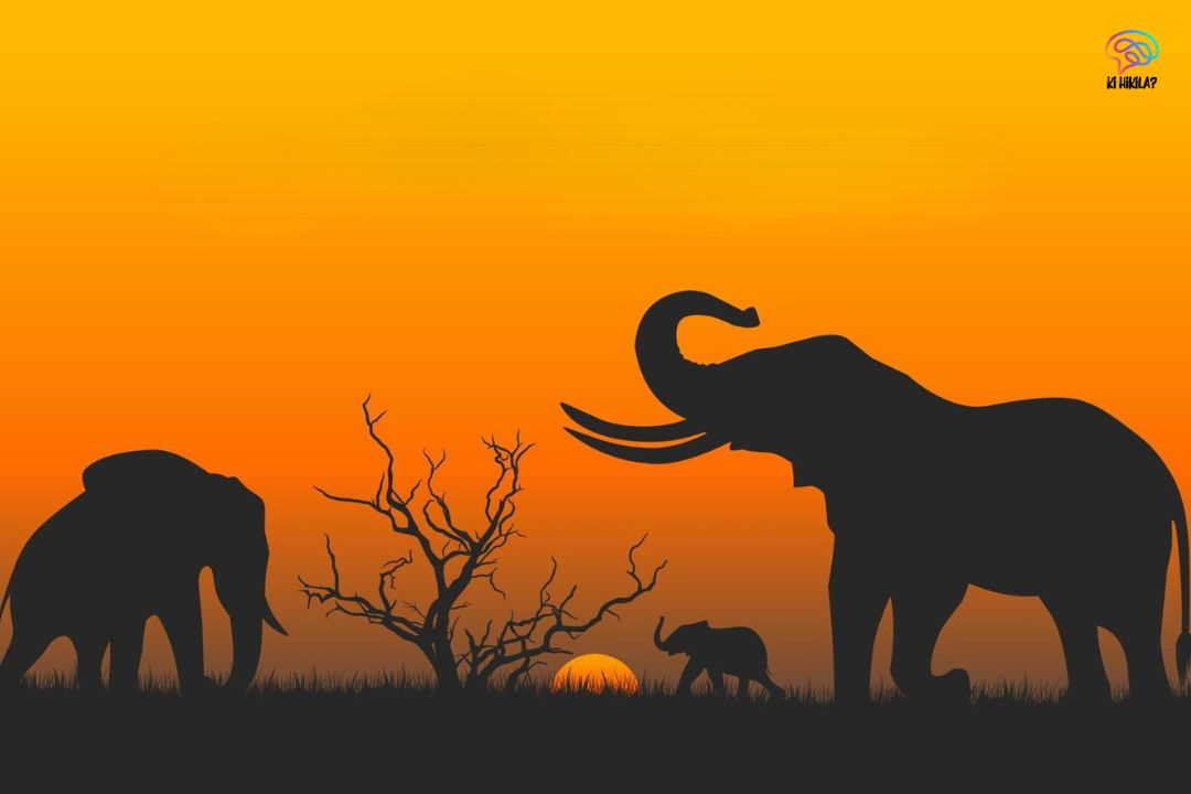 Silhouette of elephants walking at sunset, symbolizing the message of World Elephant Day.