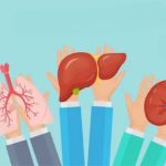 World Organ Donation Day