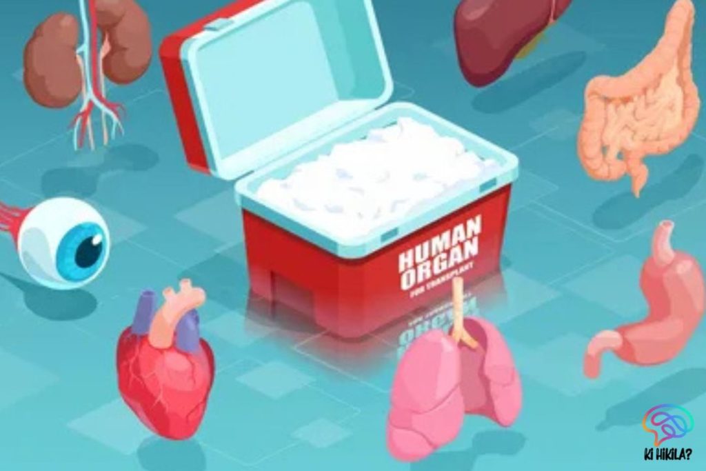 World Organ Donation Day – A Life-Saving Awareness Mission AAU Jorhat Faculty Recruitment Illustration showing human organs such as heart, lungs, kidneys, liver, eye, stomach, and intestines around an organ transplant cooler, highlighting World Organ Donation Day awareness.