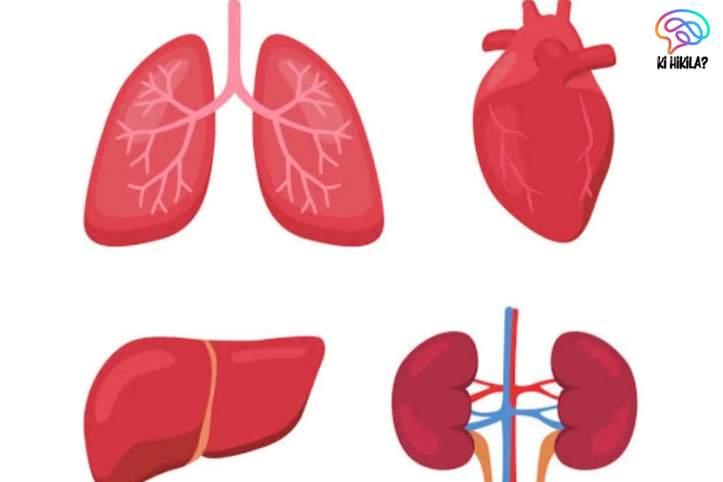 Organ Transplants