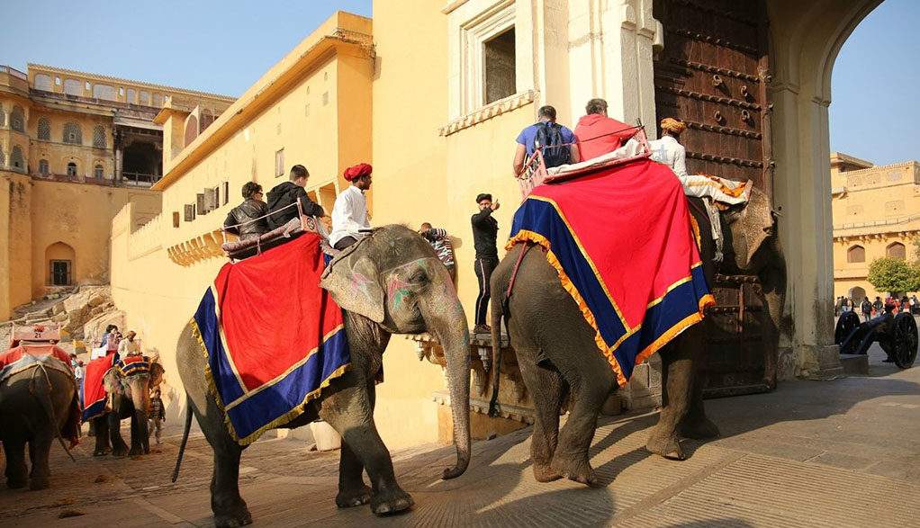 World Elephant Day