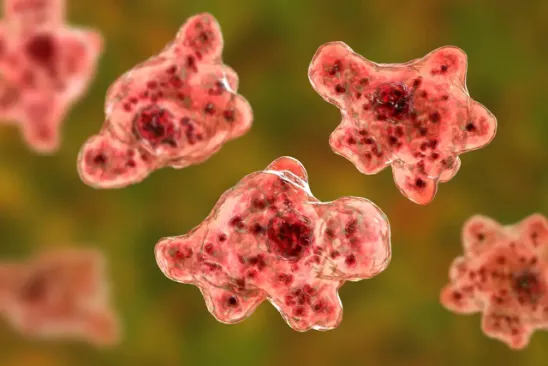 Brain-Eating Amoeba Kerala