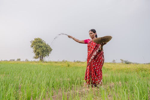 India Fertiliser Demand