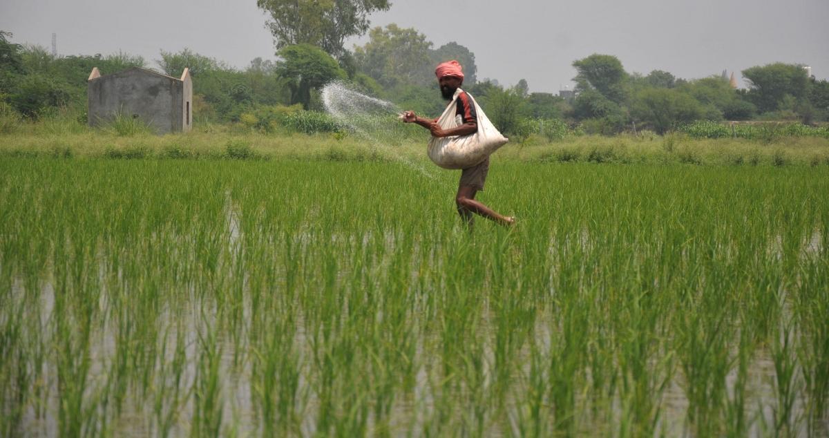 India Fertiliser Demand