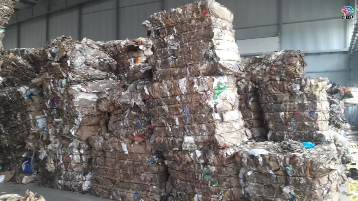 India’s Solid Waste Management Challenges