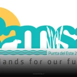 Ramsar Award List Guide: A detailed infographic with wetland icons, maps, and a list of award-winning sites.