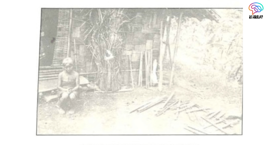 the Hmars Tribe of Assam
