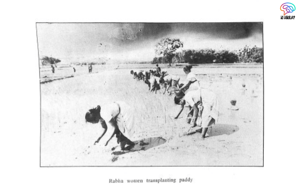 The Rabha Tribe of Assam: A Comprehensive Insight The Rabha Tribe of Assam