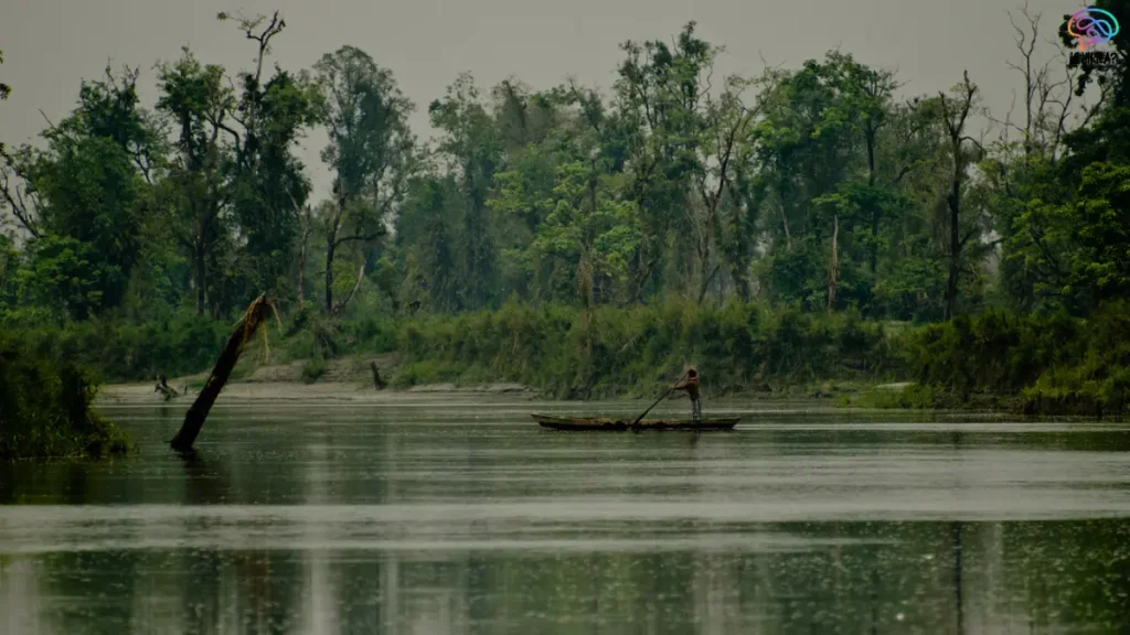 Native Plants in Assam’s Dibru-Saikhowa