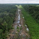 Global Climate Action COP30 Brazil