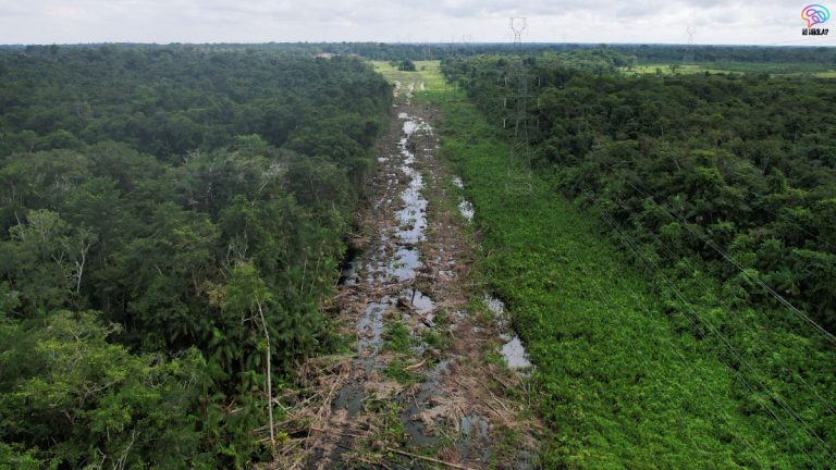 Global Climate Action COP30 Brazil: A Crucial Turning Point for the Planet Global Climate Action COP30 Brazil