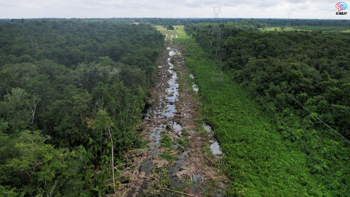 Global Climate Action COP30 Brazil