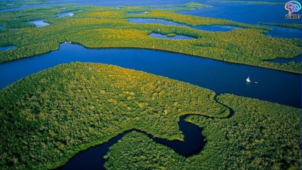 Longest Rivers in the World