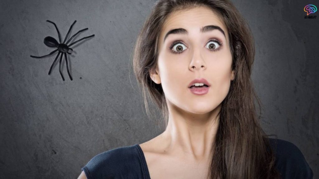  Phobias