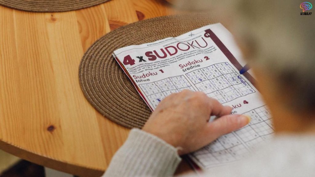 International Sudoku Day