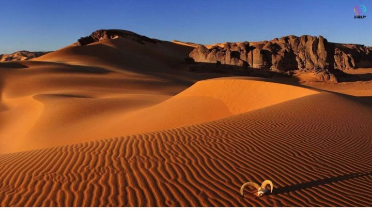 the Largest Deserts in the World