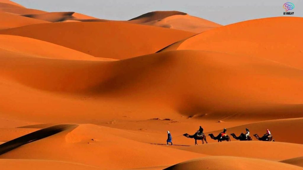 Largest Deserts in the World