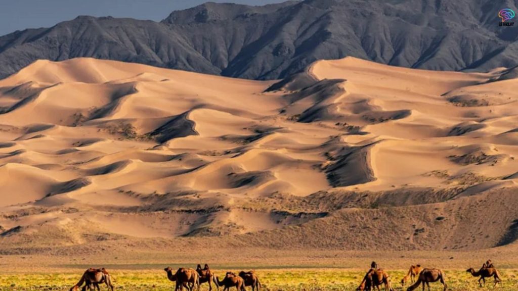 The Largest Deserts in the World: Stunning Landscapes and Unique Wildlife Foodgrain Production Target Largest Deserts in the World