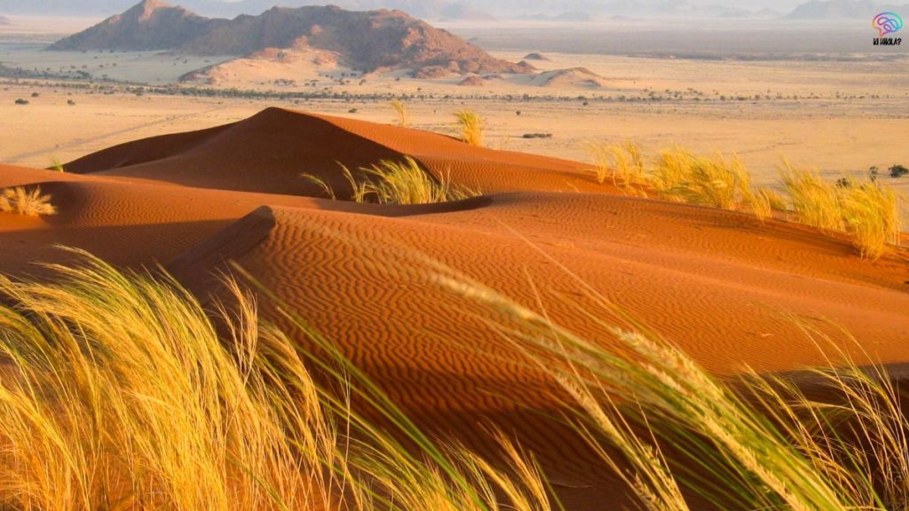Largest Deserts in the World
