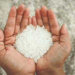 Fortified Rice Initiative India