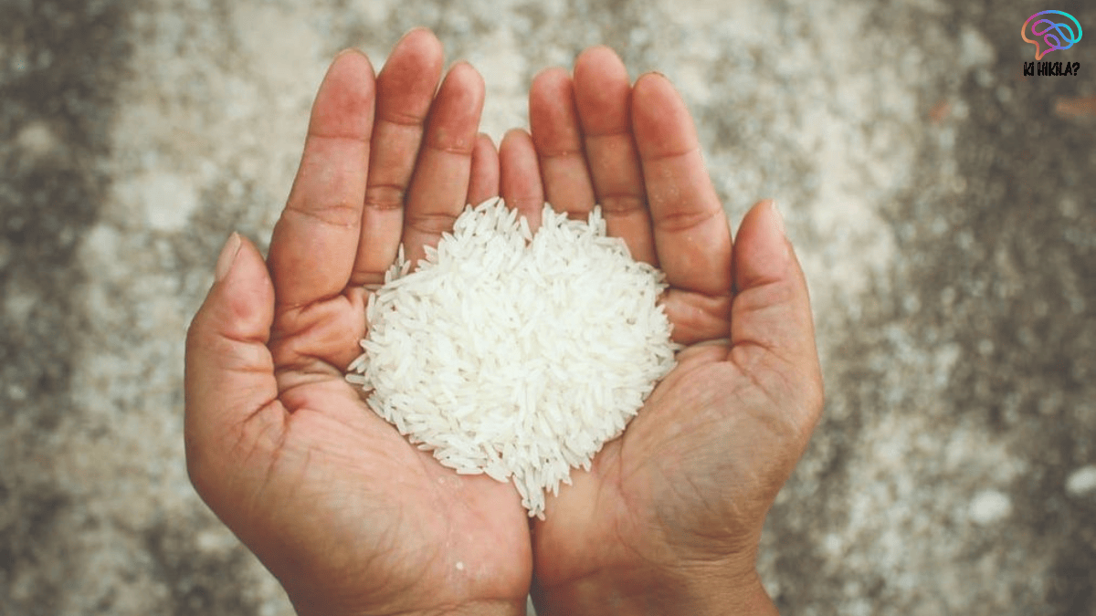 Fortified Rice Initiative India