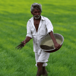 Biostimulants in Indian Agriculture