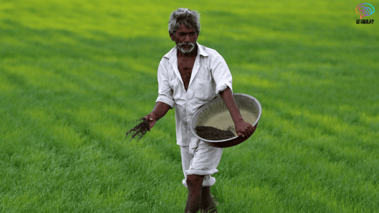 Biostimulants in Indian Agriculture