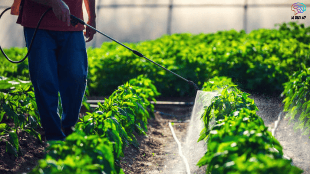 Biostimulants in Indian Agriculture: Driving Sustainability and Global Growth Biostimulants in Indian Agriculture