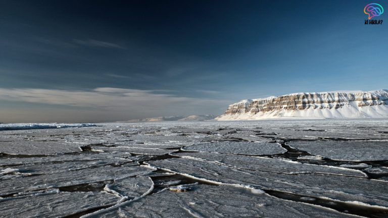 Arctic Sea Ice Loss Slowdown