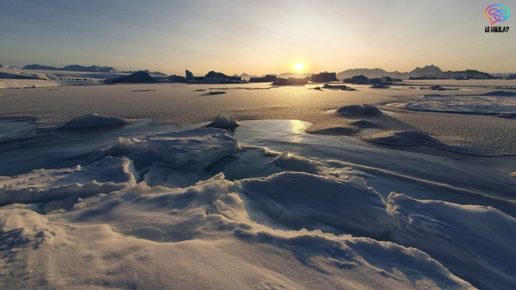 Arctic Sea Ice Loss Slowdown