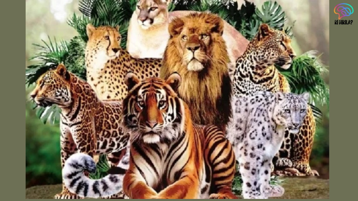 Nepal Wildlife Conservation: Nepal Joins International Big Cat Alliance to Strengthen Global Efforts Nepal Wildlife Conservation