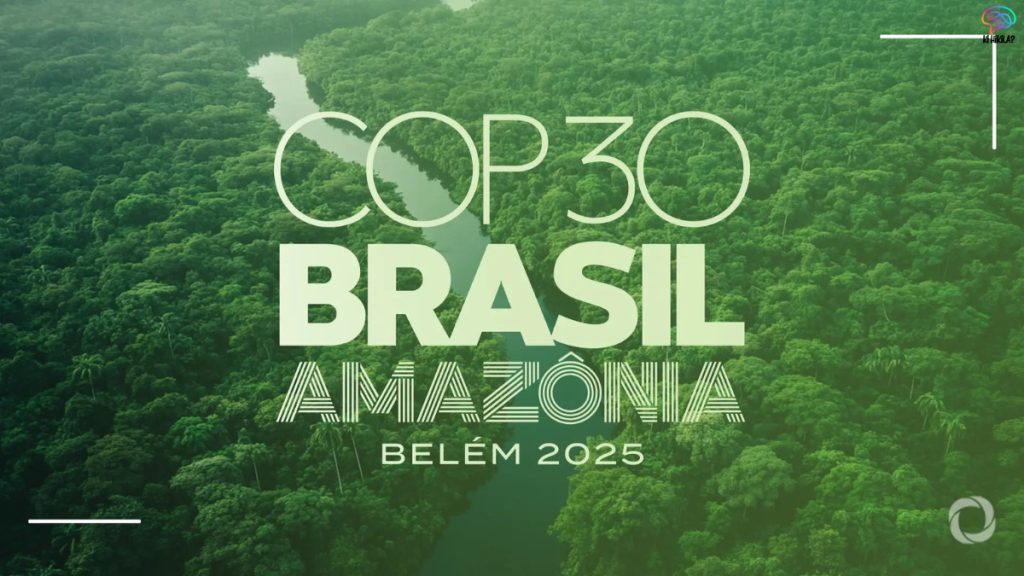 Global Climate Action COP30 Brazil