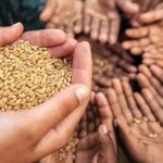 India Global Food Security 2025